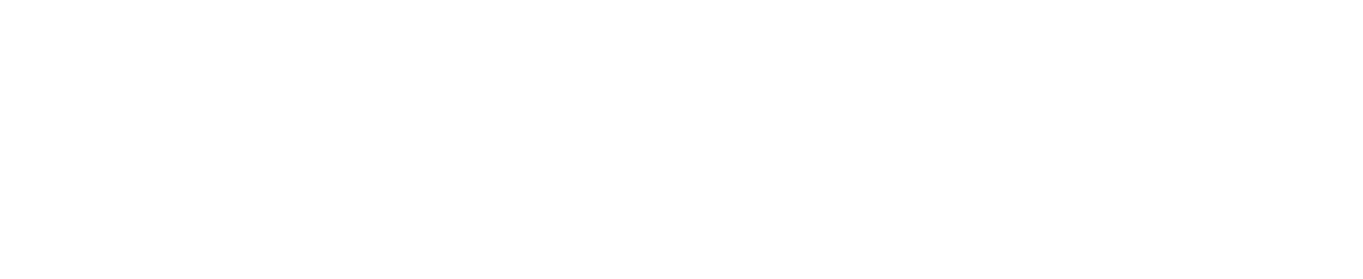 Arche Capital